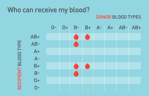 Type B Blood: B+ and B- Blood Types - Bloodworks Northwest